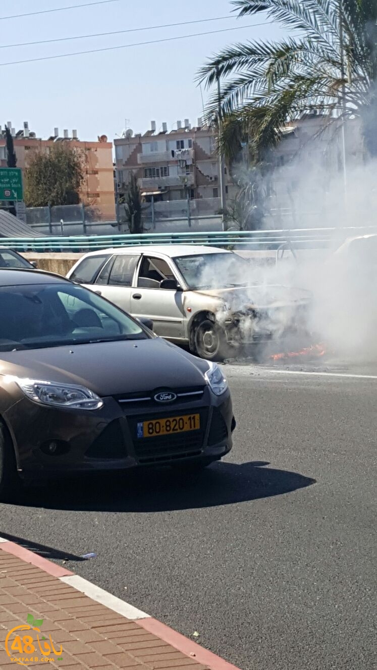 fire on cara (5).jpg